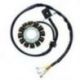 Electrosport, stator alternátoru, (se snímačem) KTM SXF 250 '11-'14, 350 '11-'14, SXF/EXCF 250`11-14 (F.I), SXF/EXCF